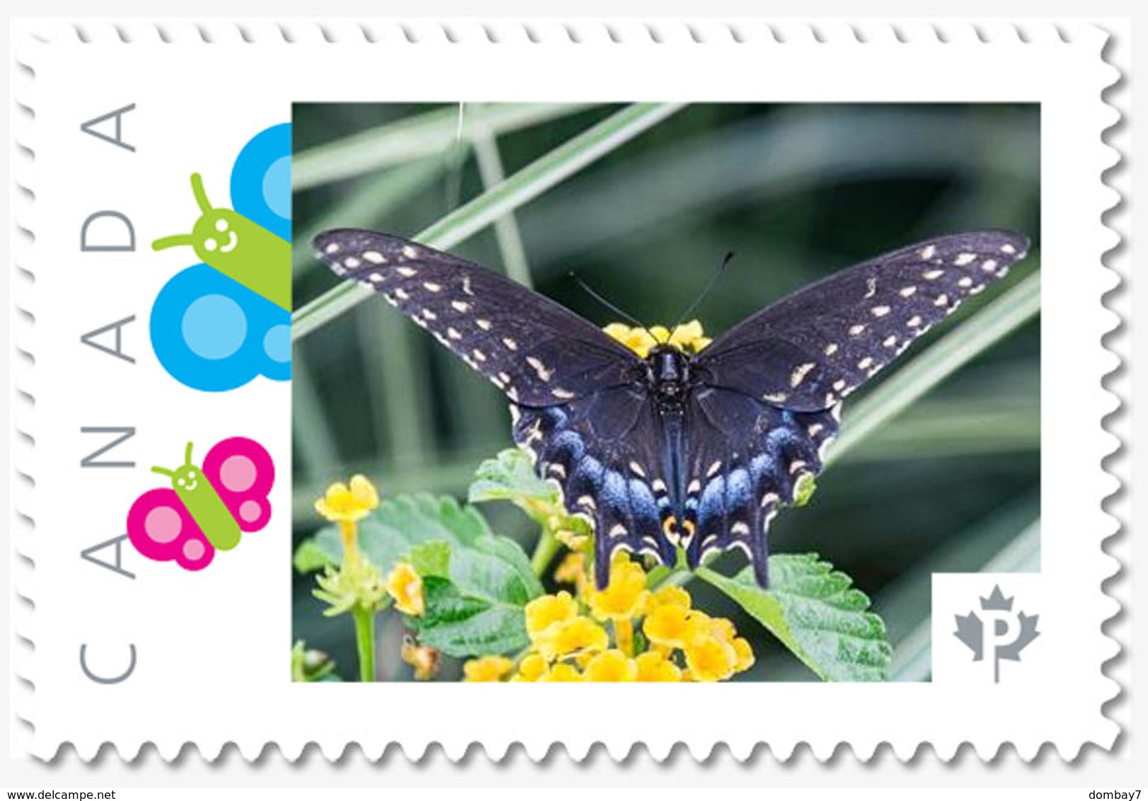 Black BUTTERFLY = Insects = Picture Postage MNH-VF Canada 2019 [p19-01s22] - Vlinders