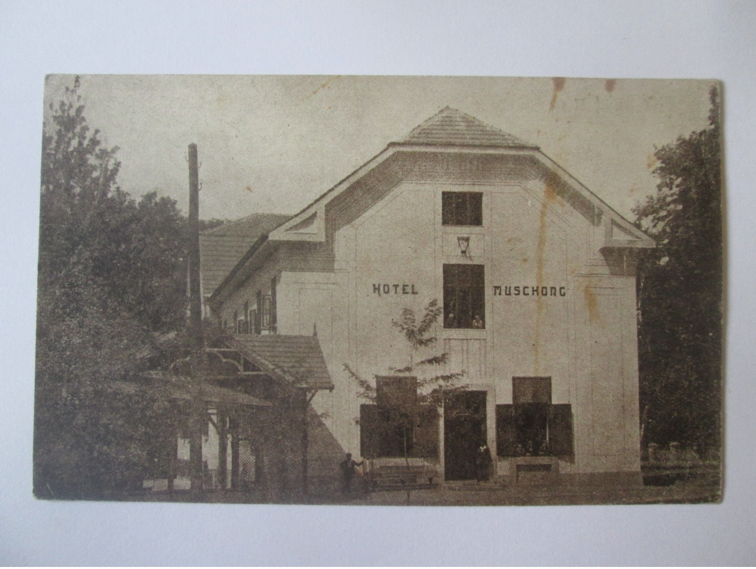 Romania/Buziaș(Timiș)-Hotel Muschong,unused Post Card From The 20s - Roumanie