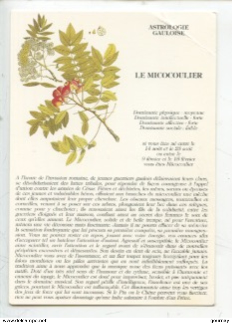 Le Micocoulier Astrologie Gauloise (arbre Conte Fable Légende) Illustration Muséum Histoire Naturelle Paris (cp Vierge) - Bäume