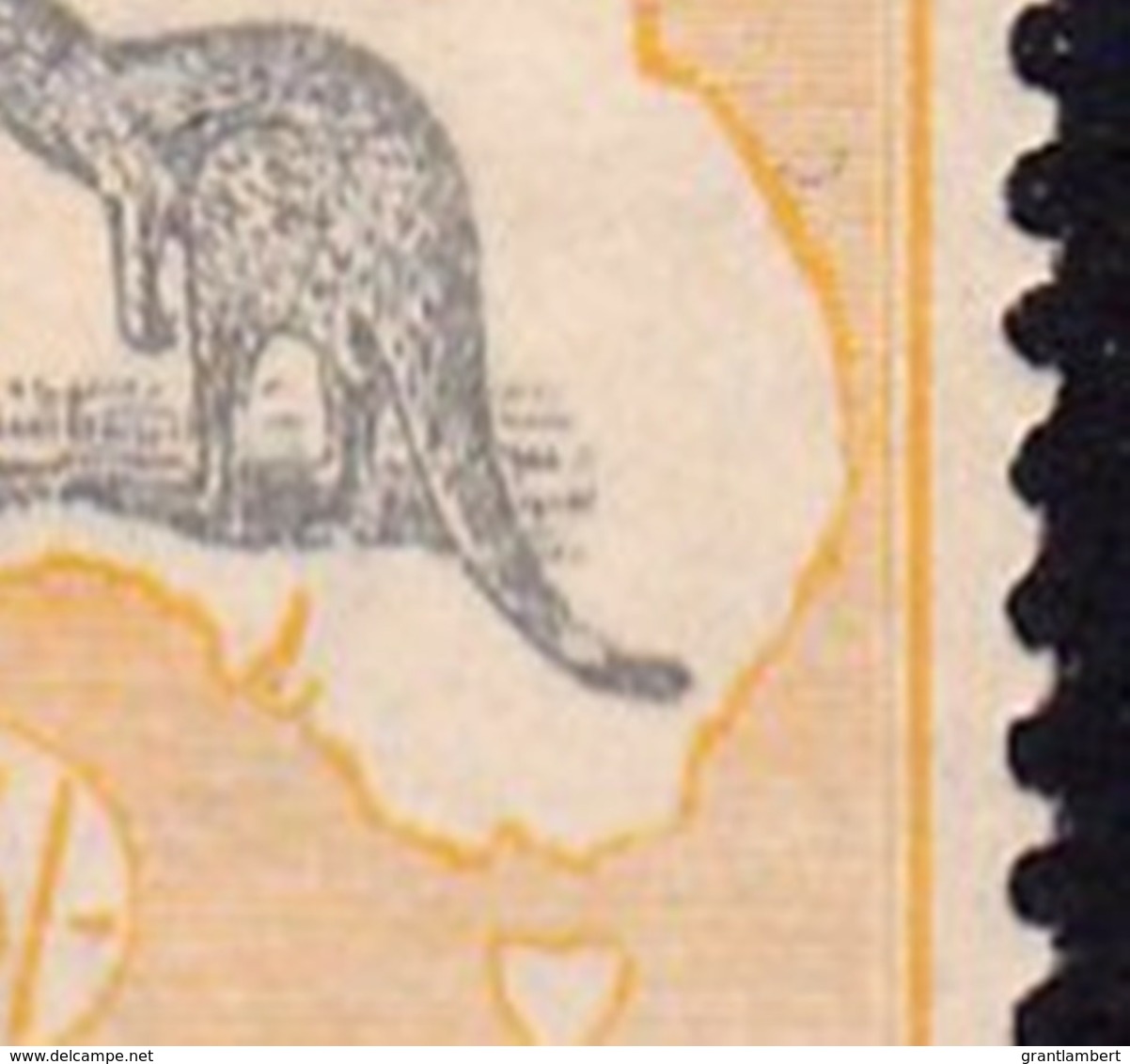 Australia 1918 Kangaroo 5/- Grey & Yellow 3rd Watermark MH - Listed Variety. - Mint Stamps