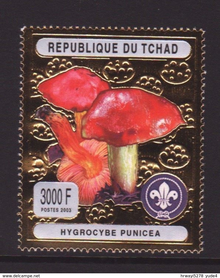 Chad 2003, Mushroom, Scouting, Minr 2471, MNH. Cv 12 Euro - Tschad (1960-...)