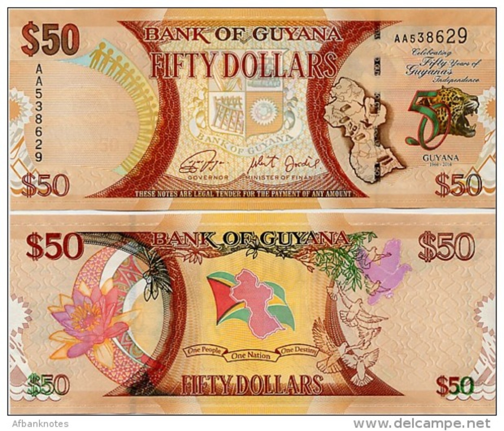 GUYANA       50 Dollars       Comm.       P-41       2016       UNC - Guyana