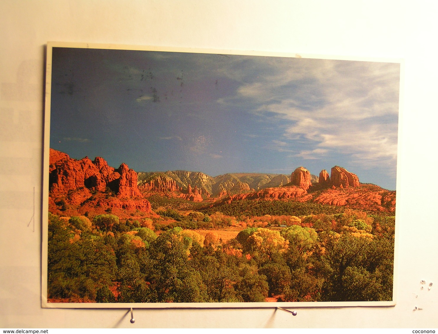 Sedona - The Red Rocks Stand ..... - Sedona