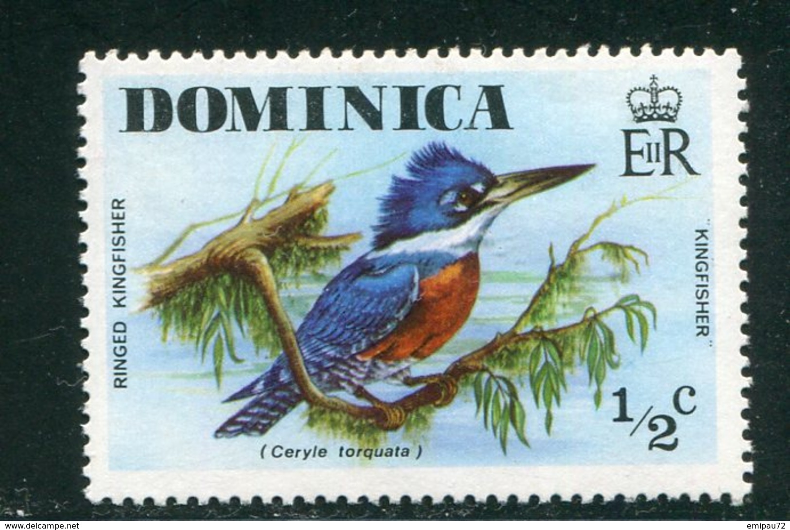 DOMINIQUE- Y&T N°478- Neuf Sans Charnière ** (oiseaux) - Dominica (1978-...)