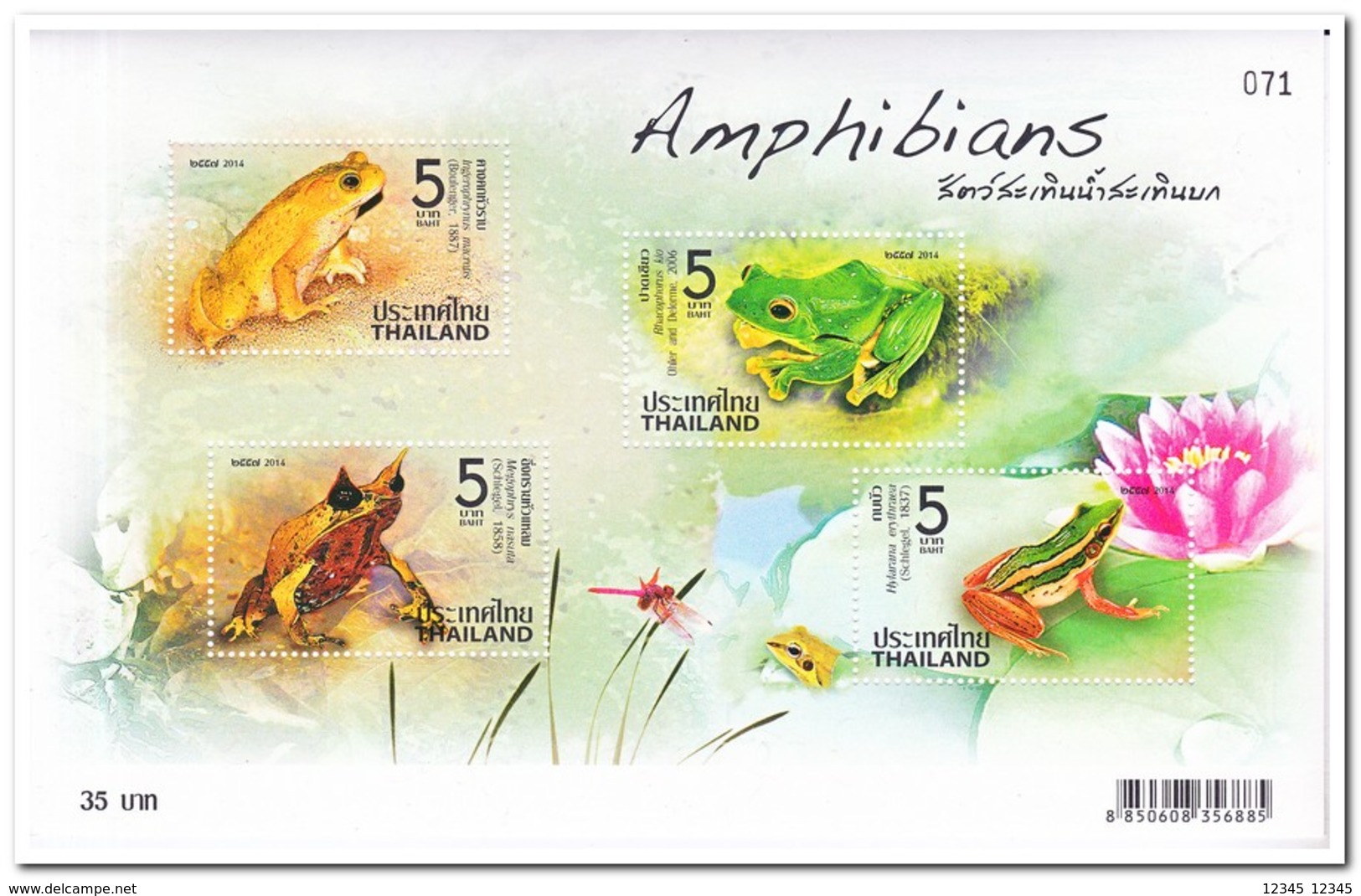 Thailand 2014, Postfris MNH,amphibi, Frogs - Thailand