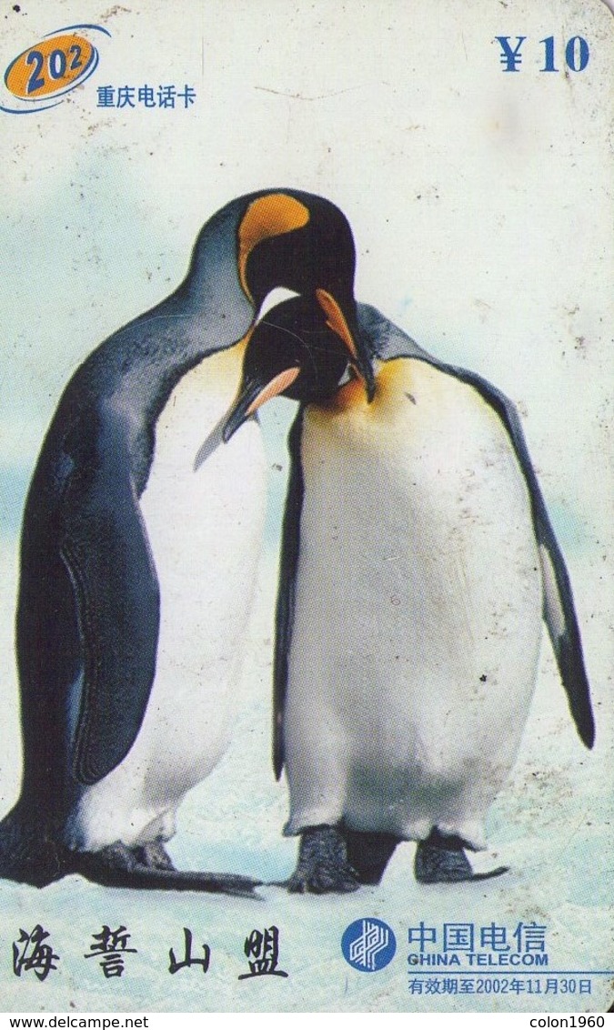 TARJETA TELEFONICA DE CHINA USADA. PINGUINOS - PENGUINS. CQ-2002-6(4-1). (601) - Pinguins