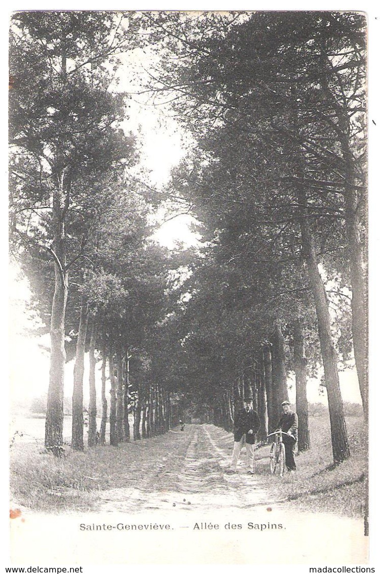 Sainte Geneviève (60 - Oise) Allée Des Sapins - Sainte-Geneviève