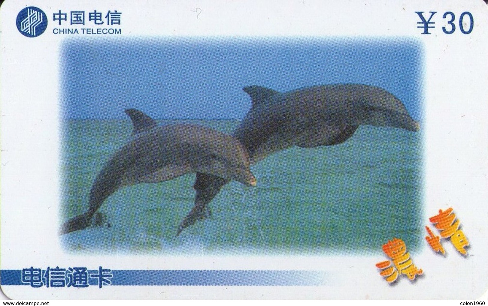 CHINA. CSTC(2001-2-4-3). DELFINES - DOLPHINS. (606) - Dolfijnen