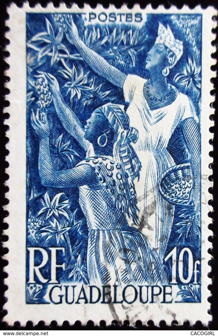 Guadeloupe 4 Valeurs Diverses Oblitérés 4 Scans - Used Stamps