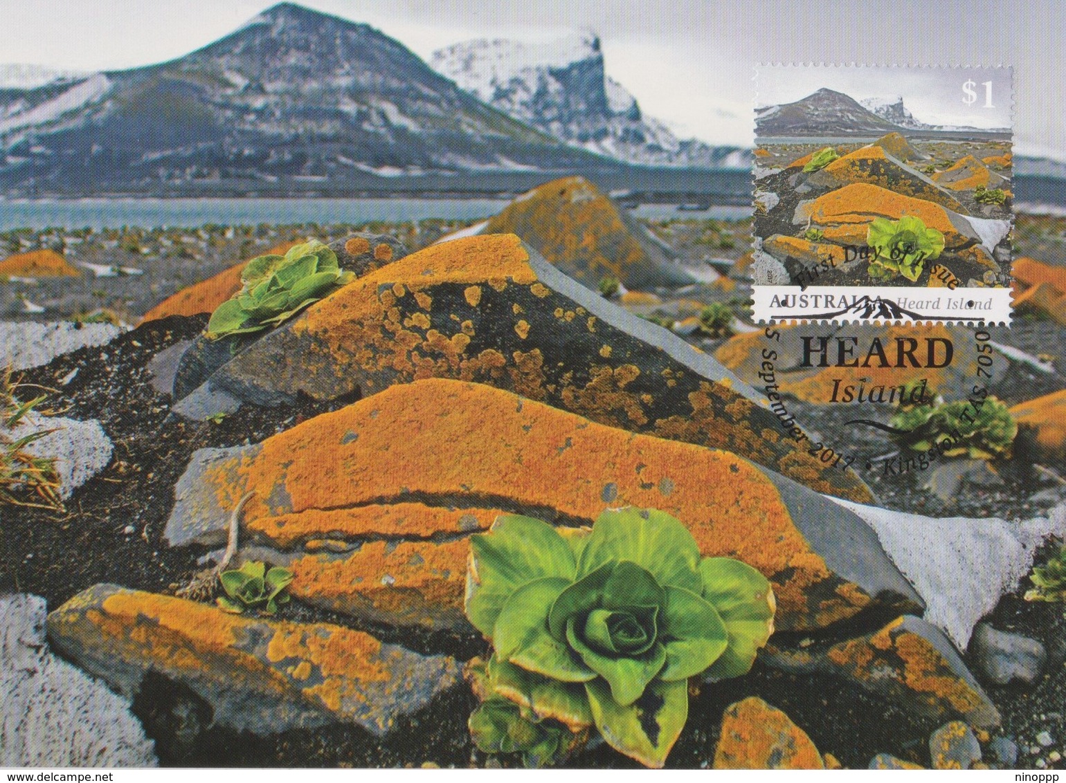 Australia 2017 HEARD Island, Kerguelen Cabbage And Lichen, Maximum Card - Cartas Máxima