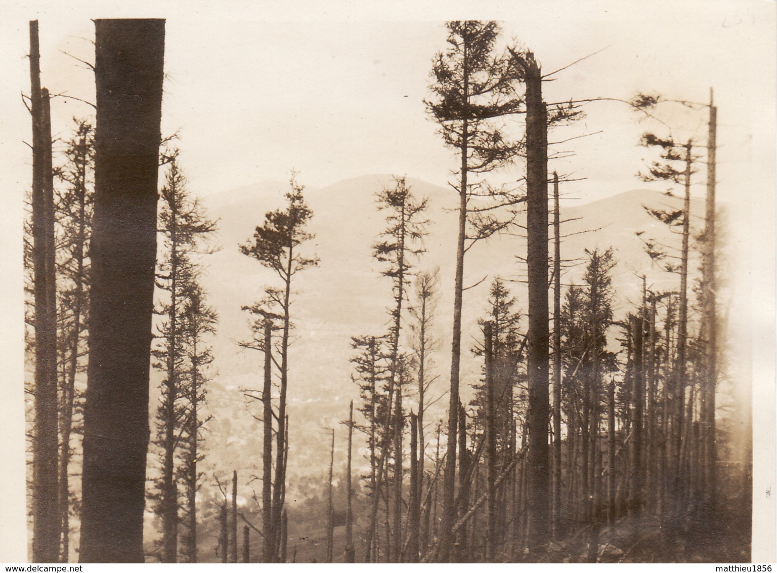 Photo 1916 Vallée De MUNSTER - Une Vue (A205, Ww1, Wk 1) - Munster