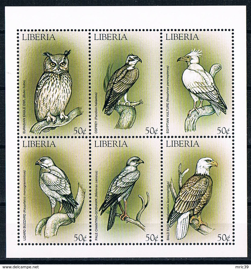 Bloc Sheet Oiseaux Hiboux Birds Owls Neuf MNH ** Liberia 1999 - Owls