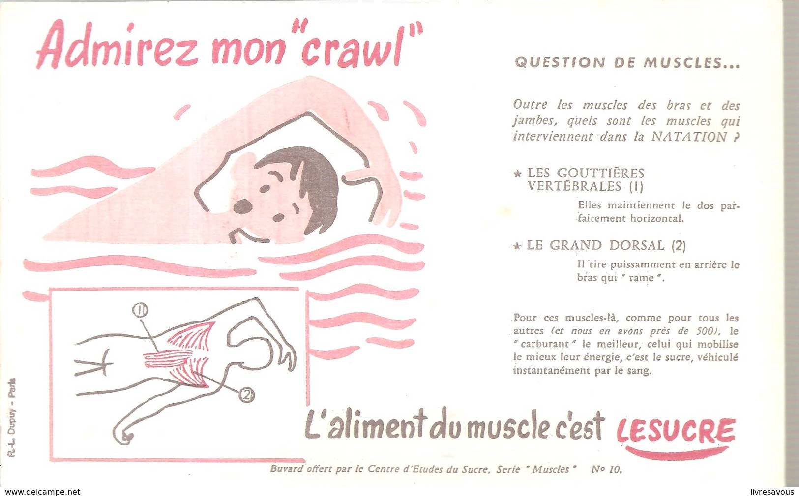 Buvard  N°10 Admirez Mon Crawl L'aliment Du Muscle C'est Le Sucre - Alimentaire