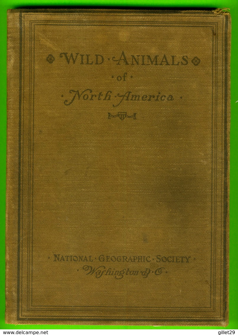 BOOKS - NATIONAL GEOGRAPHIC SOCIETY - WILD ANIMALS OF NORTH AMERICA BY EDWARD W. NELSON, 1918 - 612 PAGES - - Dieren