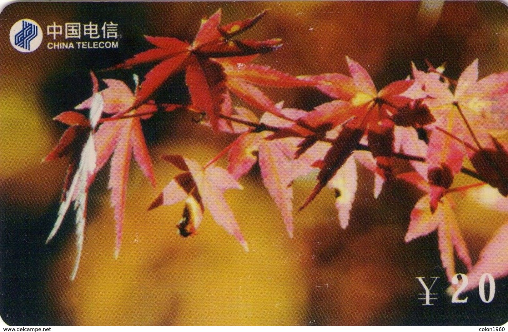 TARJETA TELEFONICA DE CHINA. FLORES - FLOWERS. FJ-ZN-12(4-1). (373) - Flores