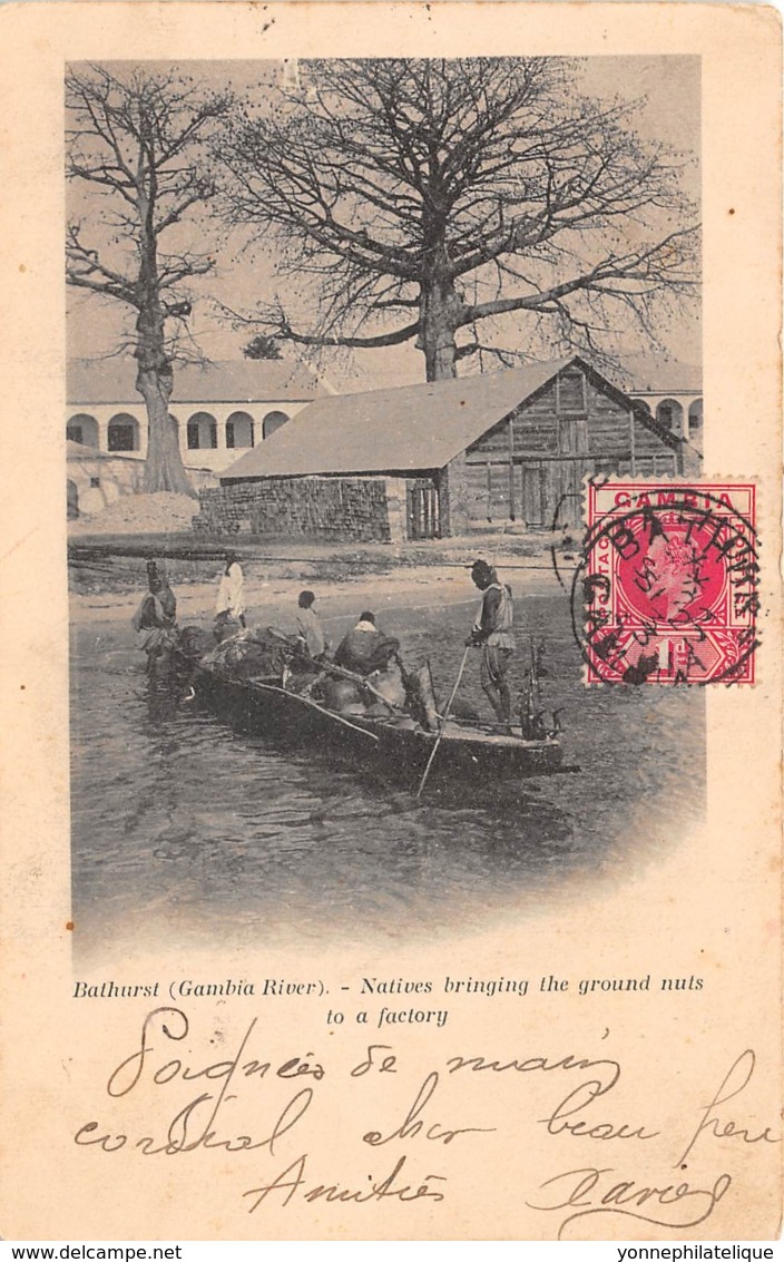 Gambie - Bathurst - Natives Bringing The Ground Nuts To A Factory - Gambie