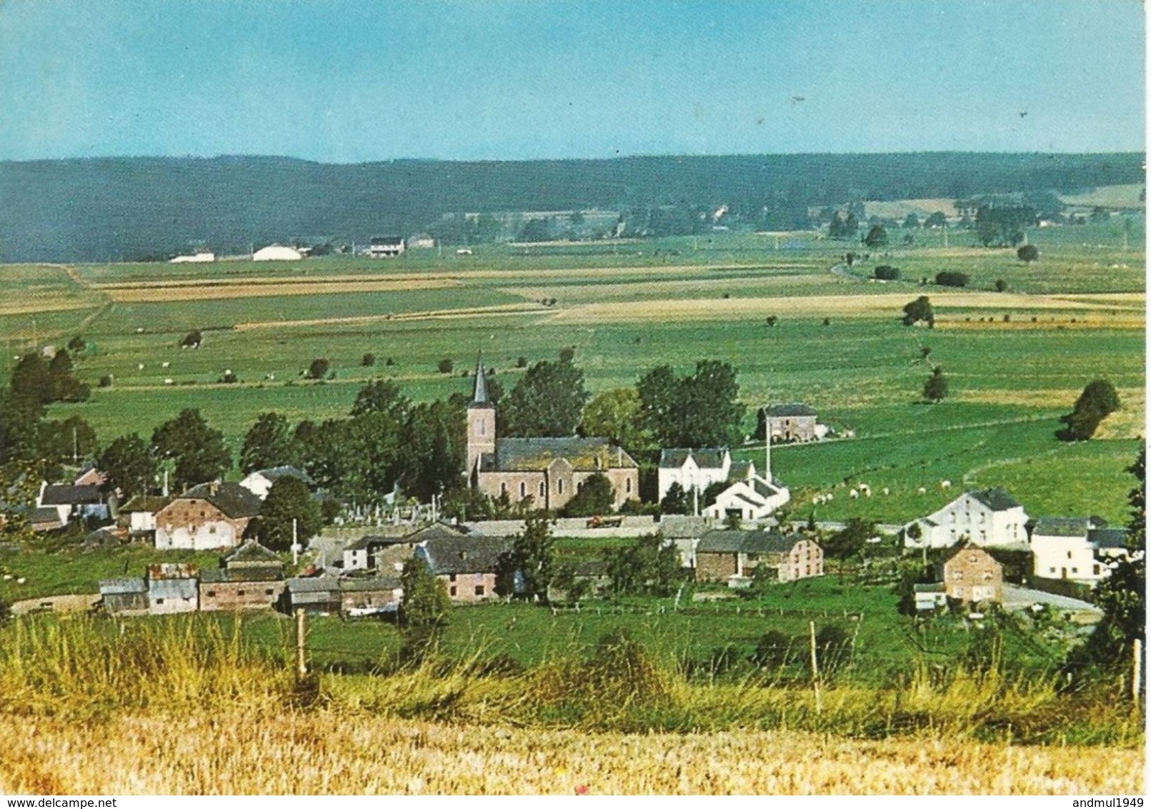 Panorama De RETTIGNY - Oblitération De 1979 - Gouvy