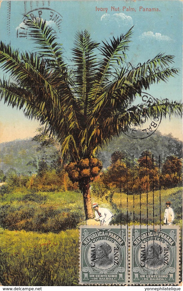 Panama - Ivory Nut Palm - Belle Oblitération - Panama