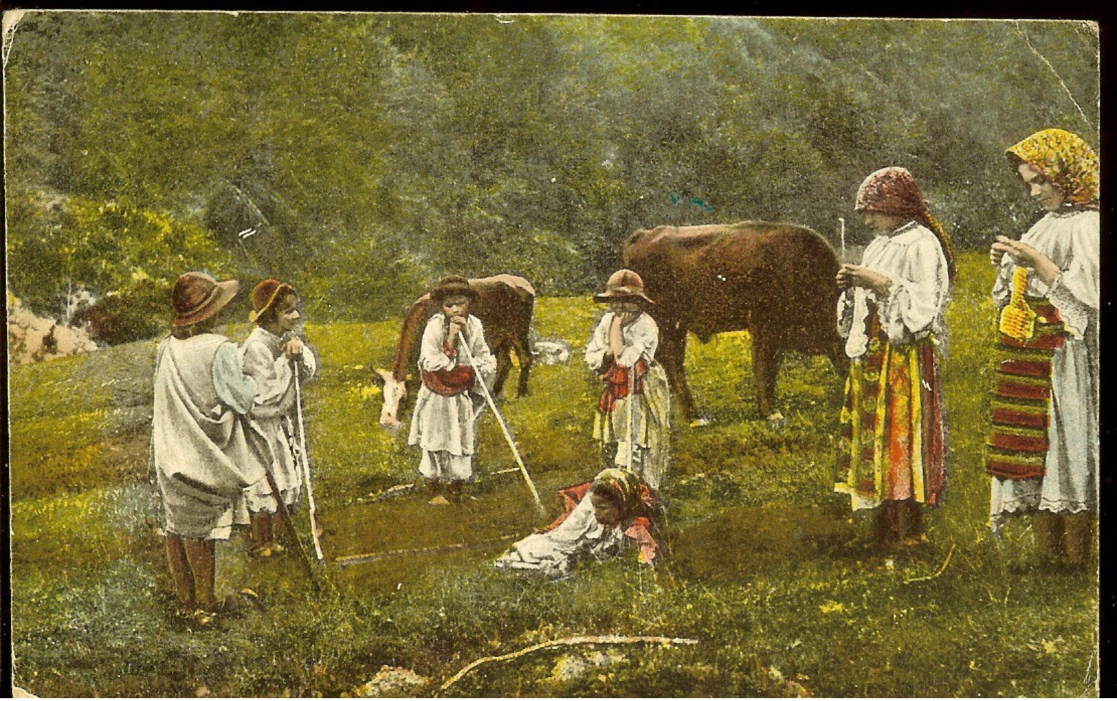 Postcard Romania, At Pasture, Cows, 1919, Publisher I. Saraga & S. Schwartz, Bucuresti, See Scans - Roumanie