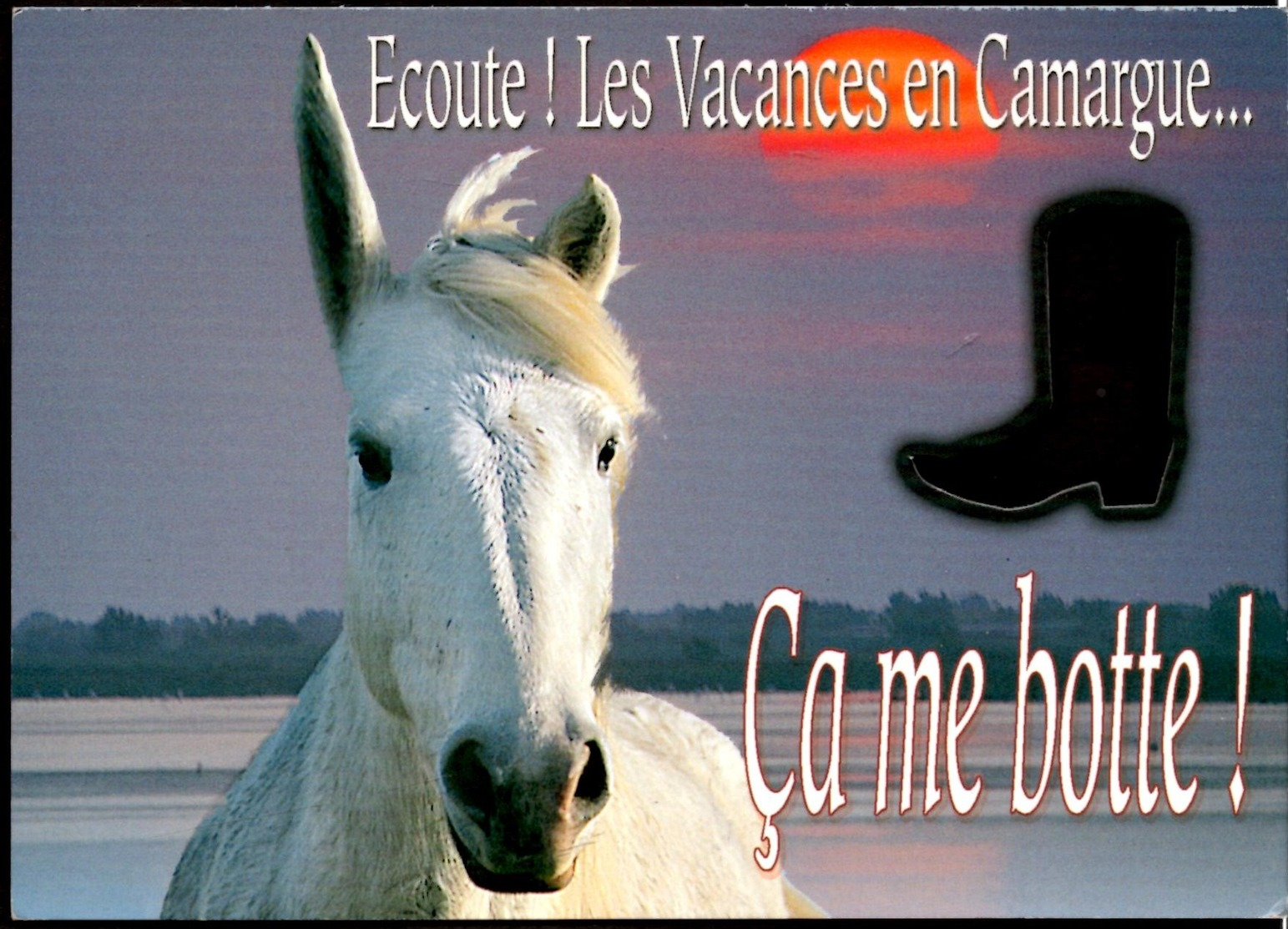 Carte à TROU **Ecoute! Les Vacances En Camargue ...Ca Me Botte** Cheval Et Botte De Gardian Photo - Chevaux