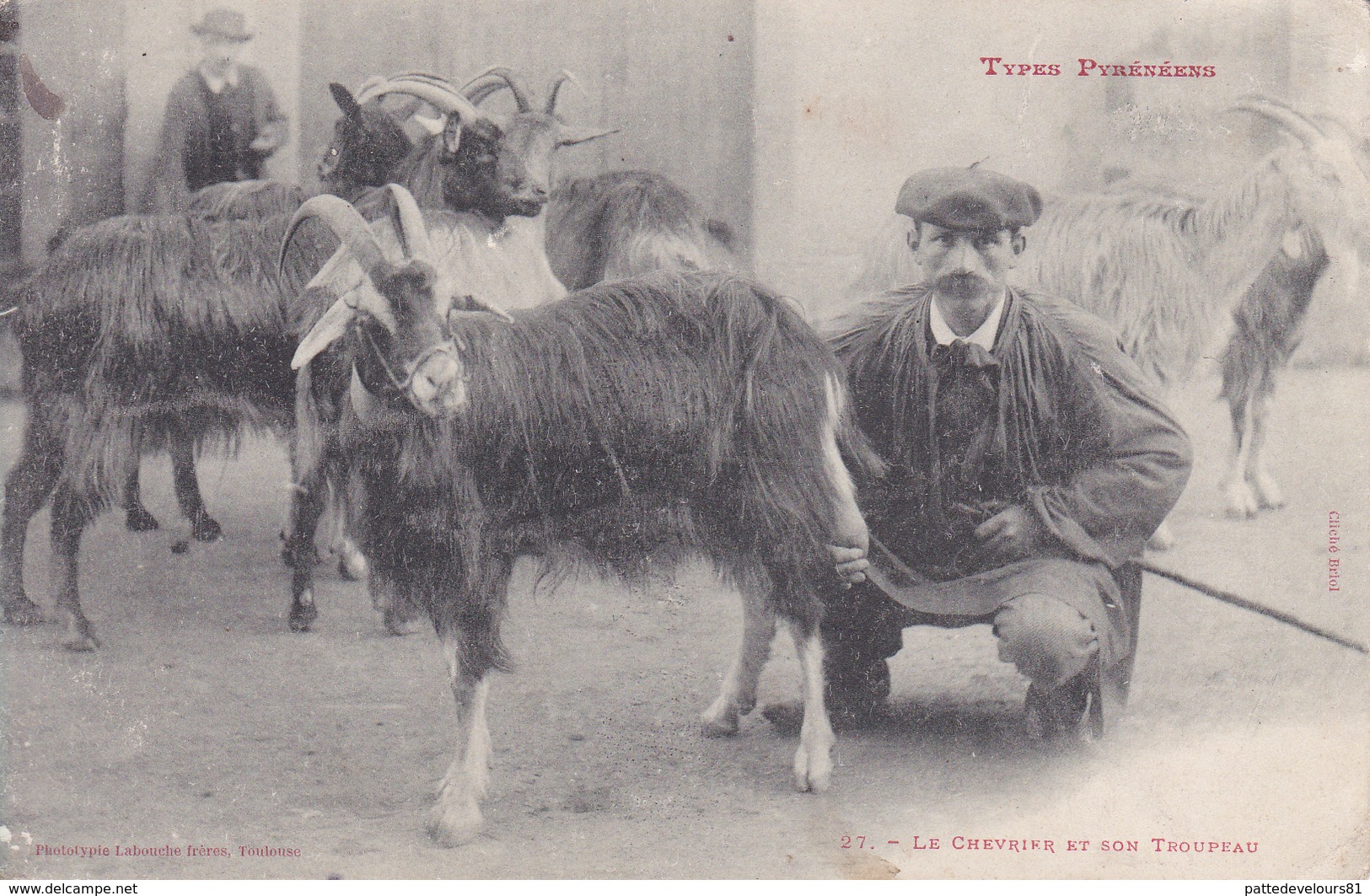 CPA (65) Type Pyrénéen Le Chevrier Et Son Troupeau Chèvre Caprin Biquette Métier Labouche Frères N° 27  (2 Scans) - Autres & Non Classés