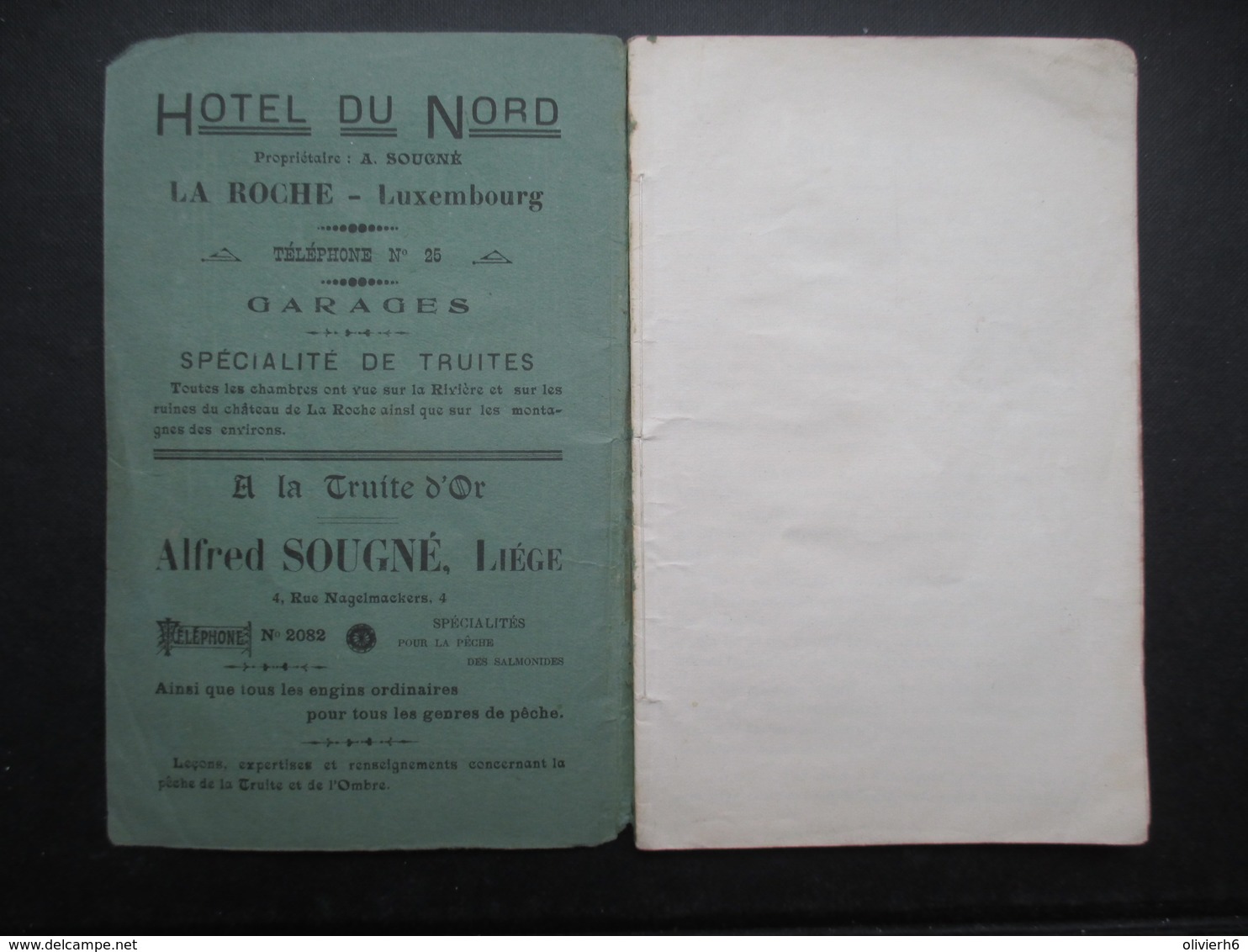 VP BELGIQUE (M1699) GUIDE DES ENVIRONS DE LA ROCHE AVEC ITINéRAIRES (11 Vues) Par Un Larochois LAROCHE - Dépliants Touristiques