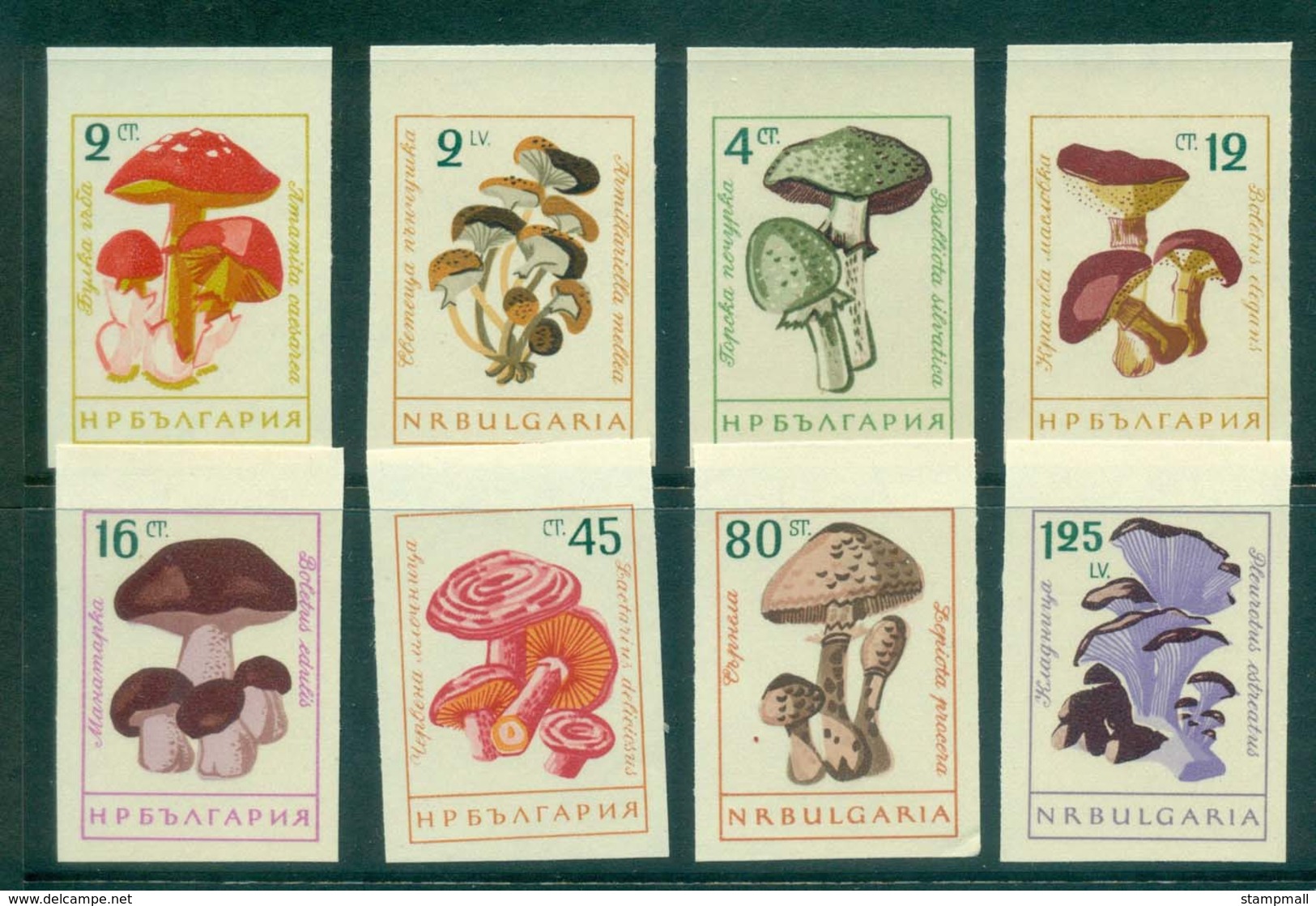 Bulgaria 1961 Funghi IMPERF MUH Lot31307 - Unused Stamps