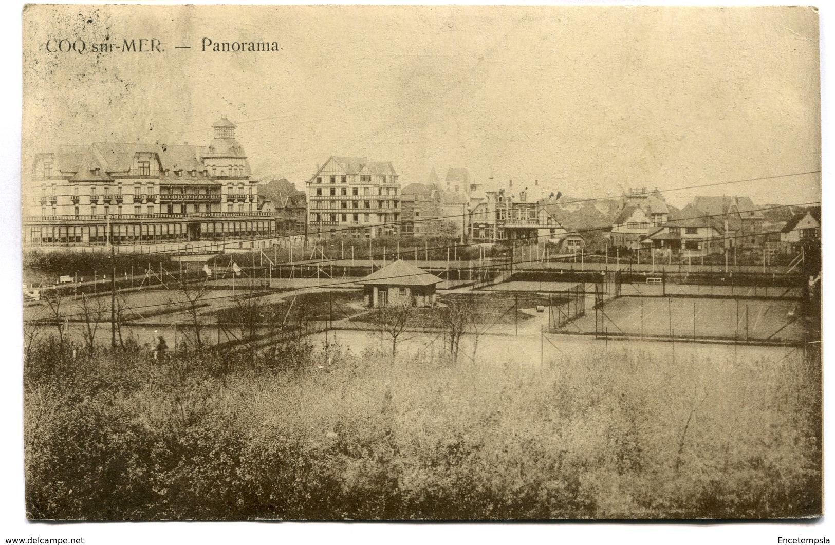 CPA - Carte Postale - Belgique - Coq Sur Mer - Panorama ( DD7269) - De Haan