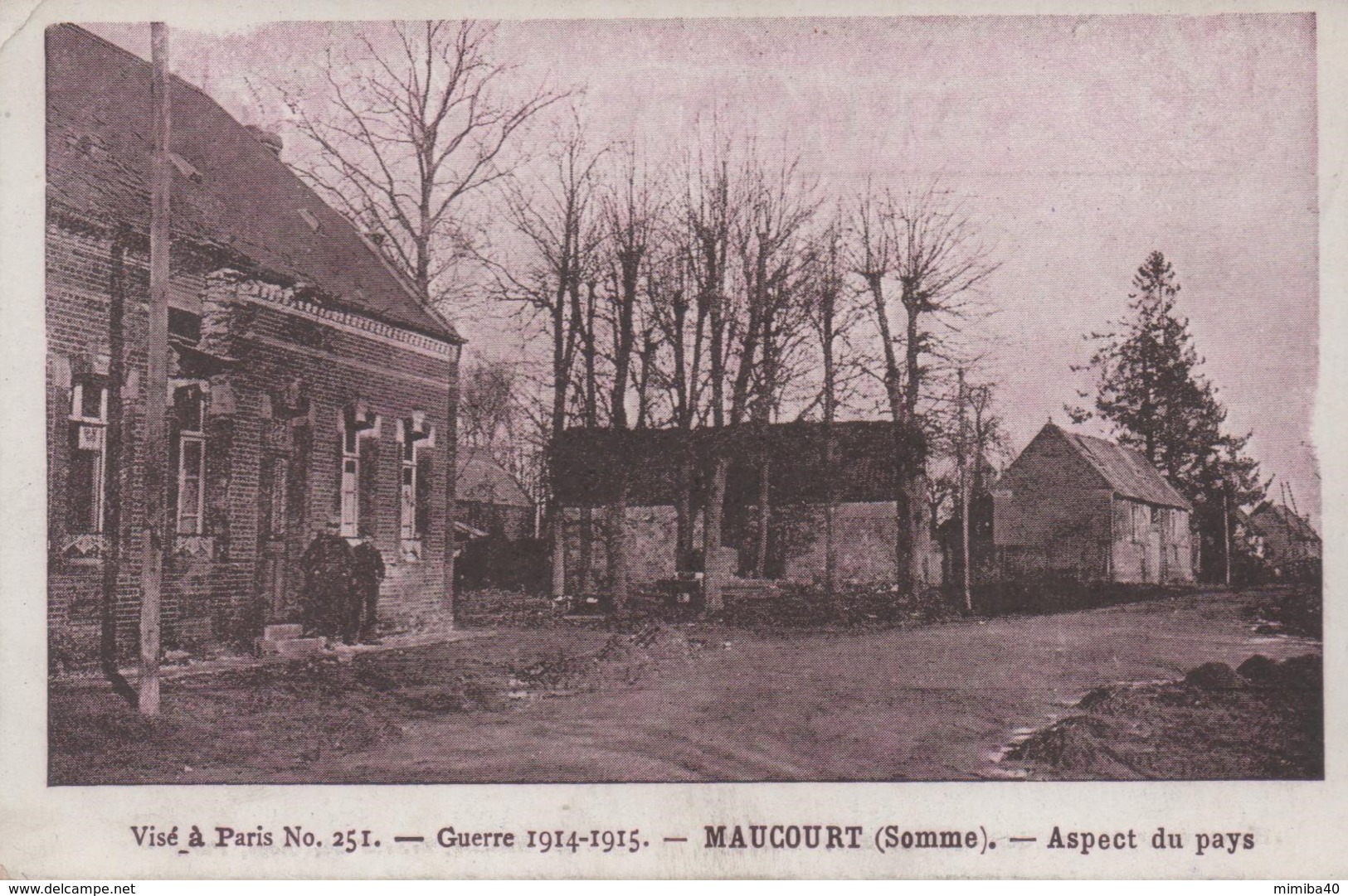 MAUCOURT - Guerre 1914-1915 - Aspect Du Pays - - Autres & Non Classés