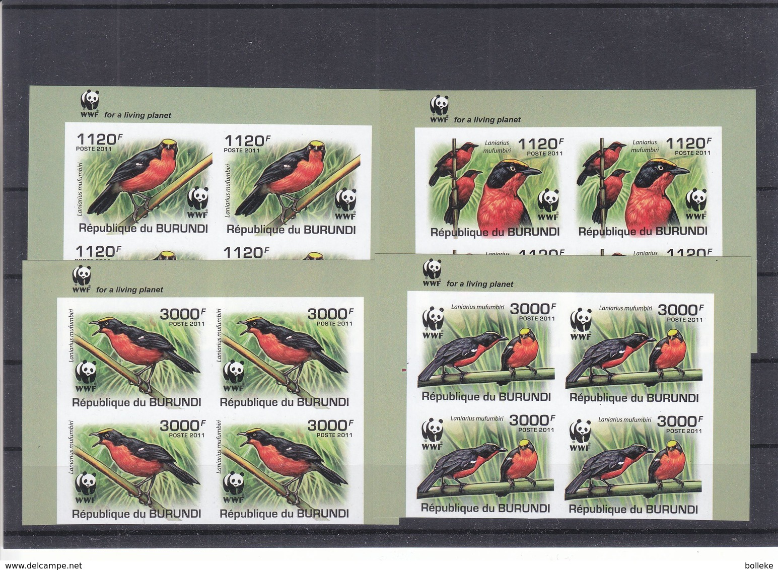 W.W.F. - Pandas - Burundi - COB 1218 / 21 ** - NON Dentelés - Bloc De 4  - Oiseaux - Valeur 148 Euros - Neufs