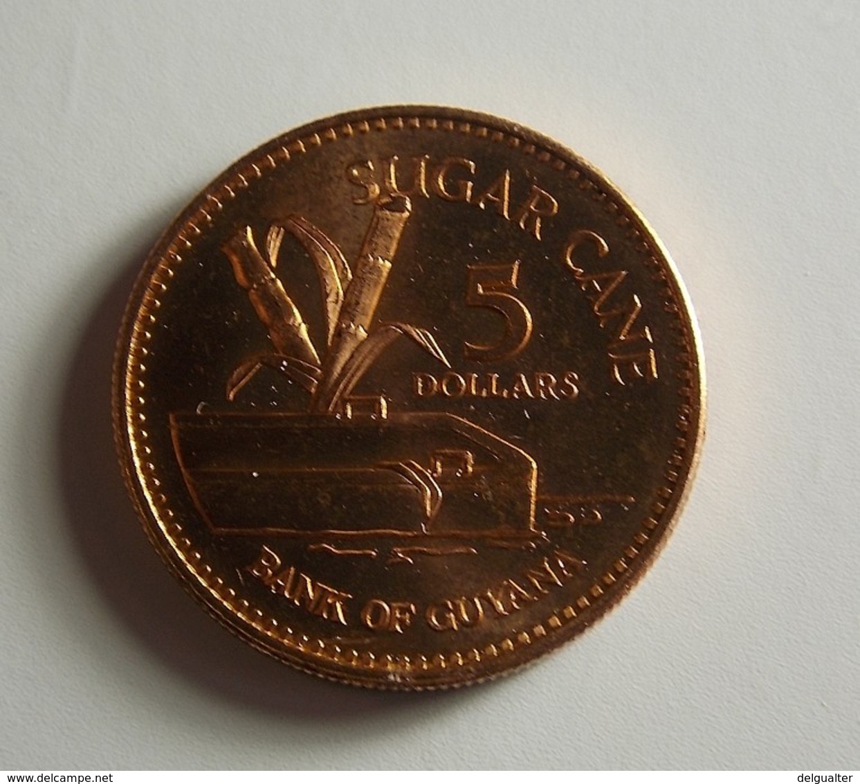 Guyana 5 Dollars 1996 Varnished - Guyana
