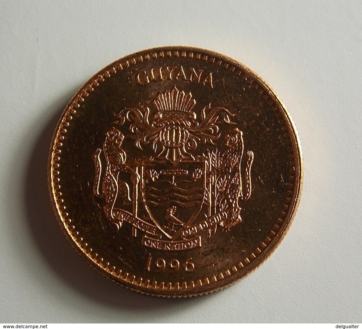 Guyana 5 Dollars 1996 Varnished - Guyana