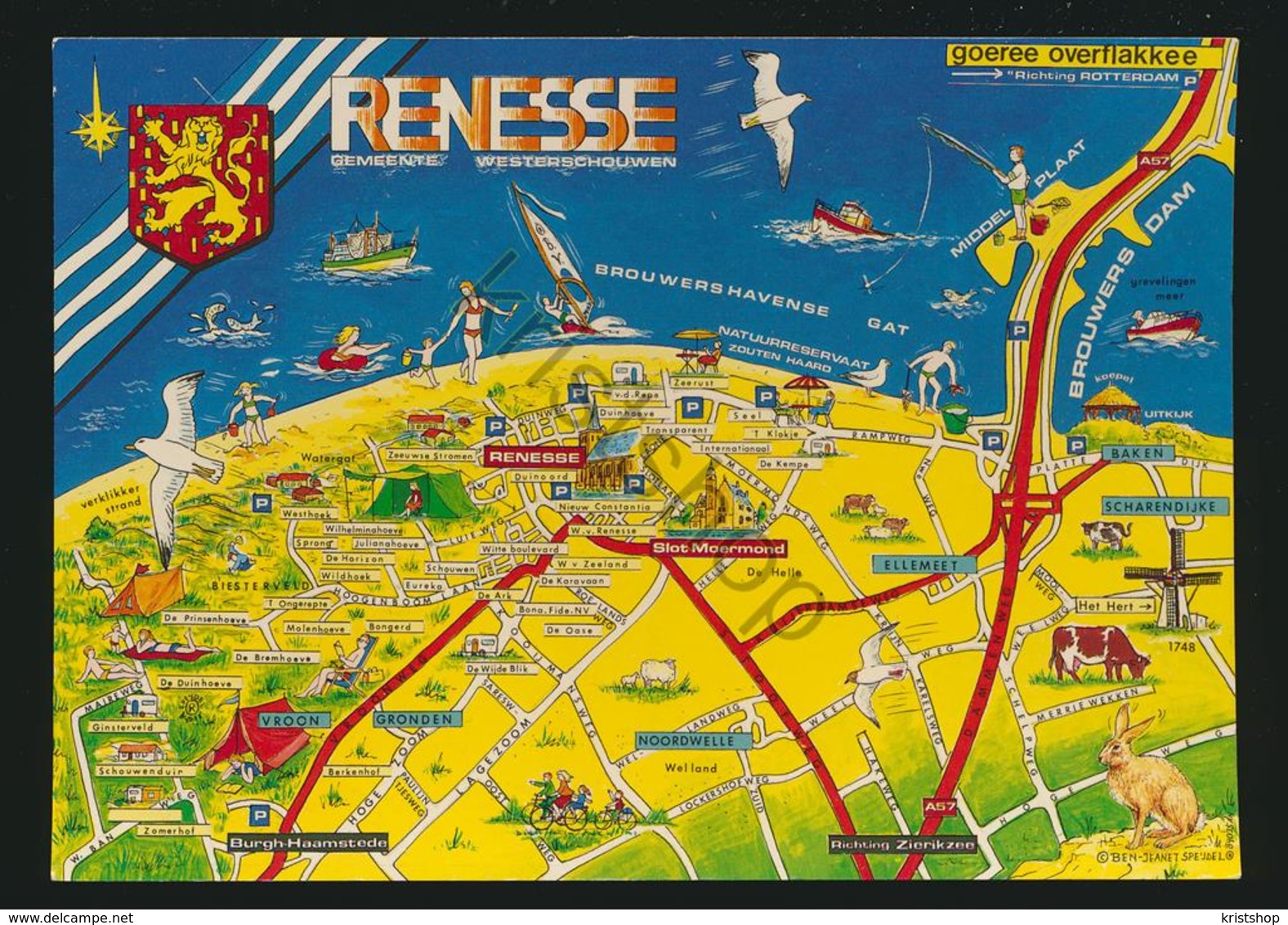 Renesse - TOPO [AA35 6.409 - Autres & Non Classés