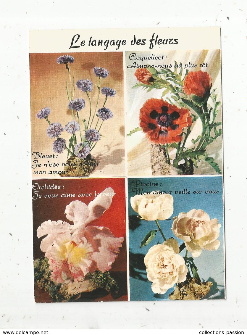 Cp , Le LANGAGE DES FLEURS ,vierge , Ed. Lyna - Fleurs