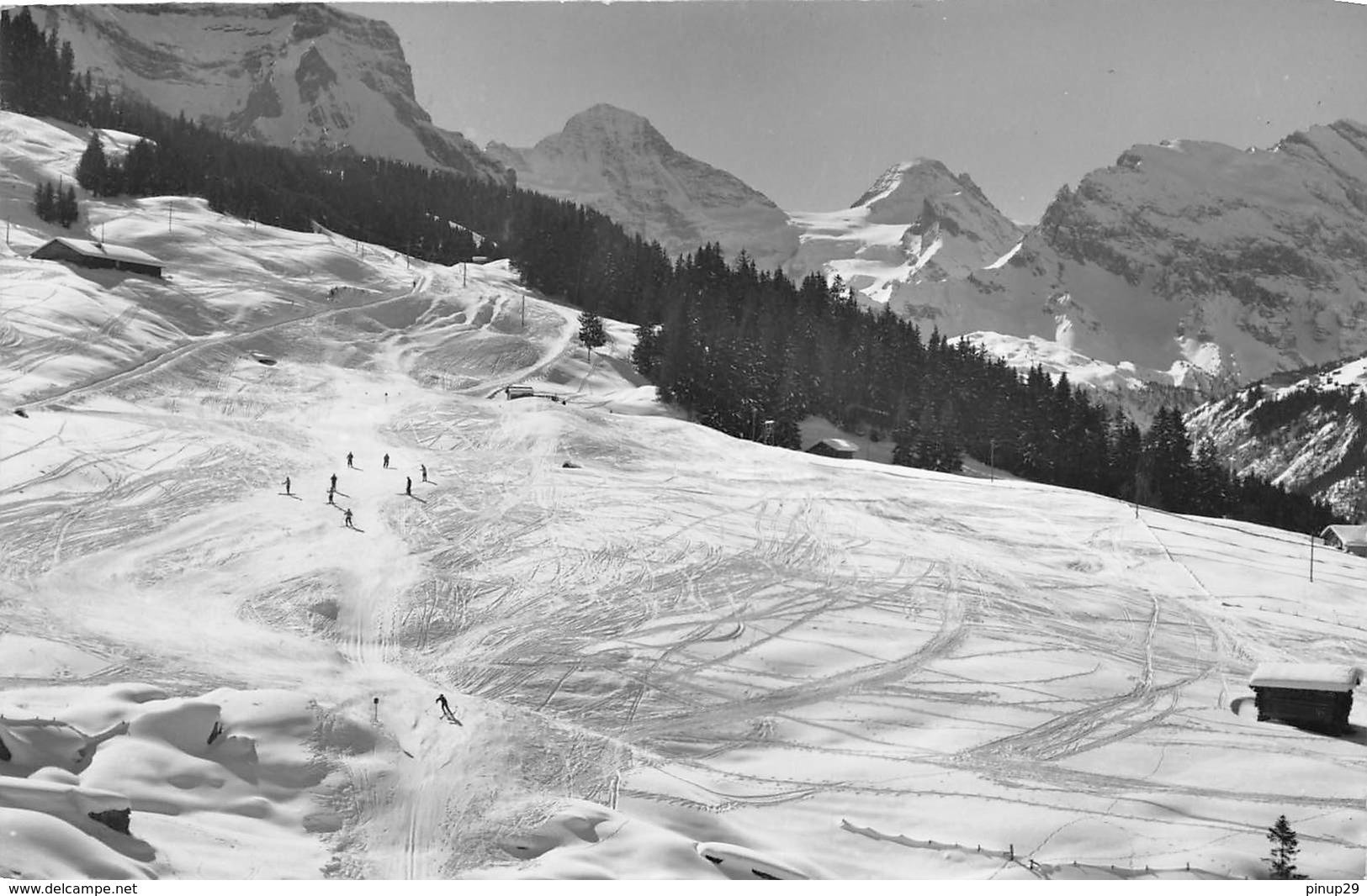 BEI WENGEN - Wengen