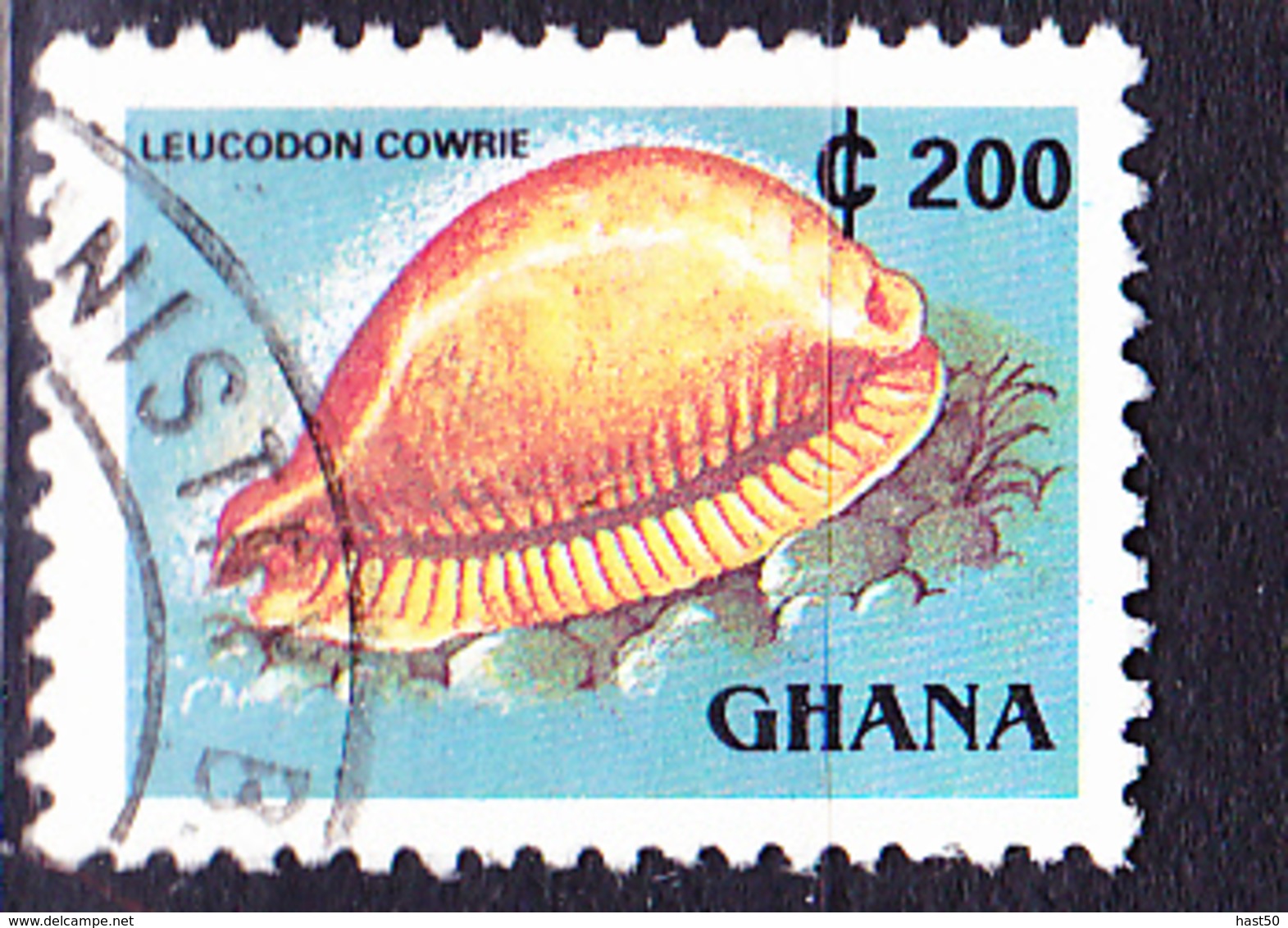Ghana - Kaurischnecke (Leucodon Cowrie) (Mi.Nr.: F1614) 1991/8 - Gest. Used Obl. - Ghana (1957-...)