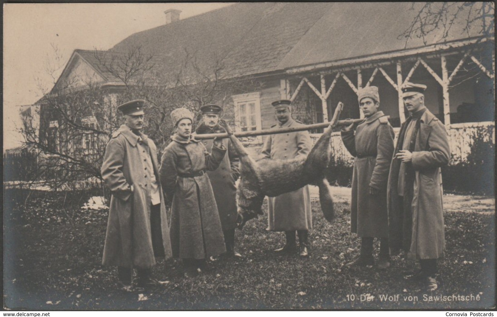 Der Wolf Von Sawischtsche, C.1915 - Verlag Für Allgemeines Wissen Foto-AK - Bielorussia