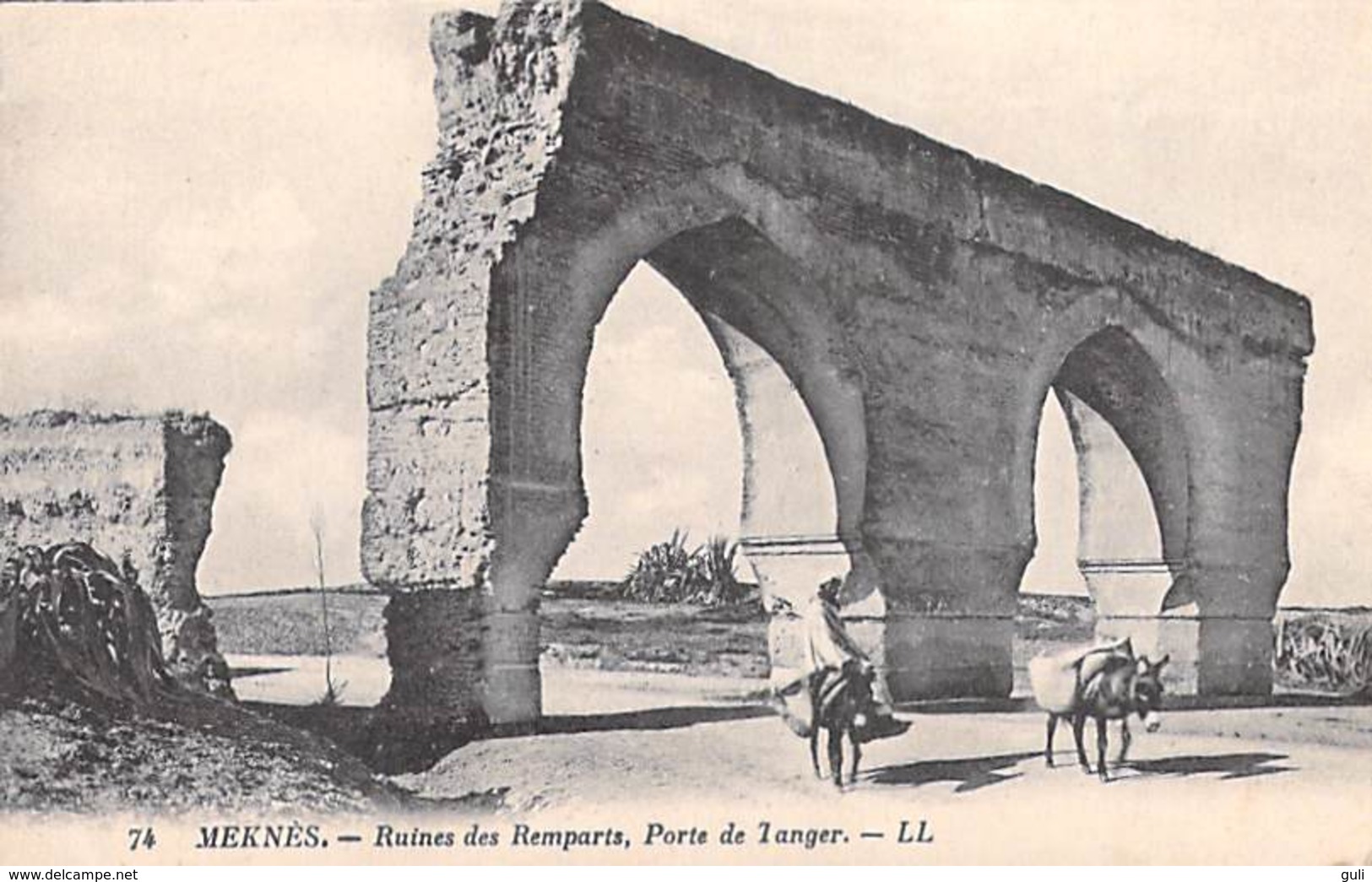 Afrique > Maroc > MEKNES Ruines Des Remparts Porte De Tanger (Cpa Editions: LL N°74) *PRIX FIXE - Meknès