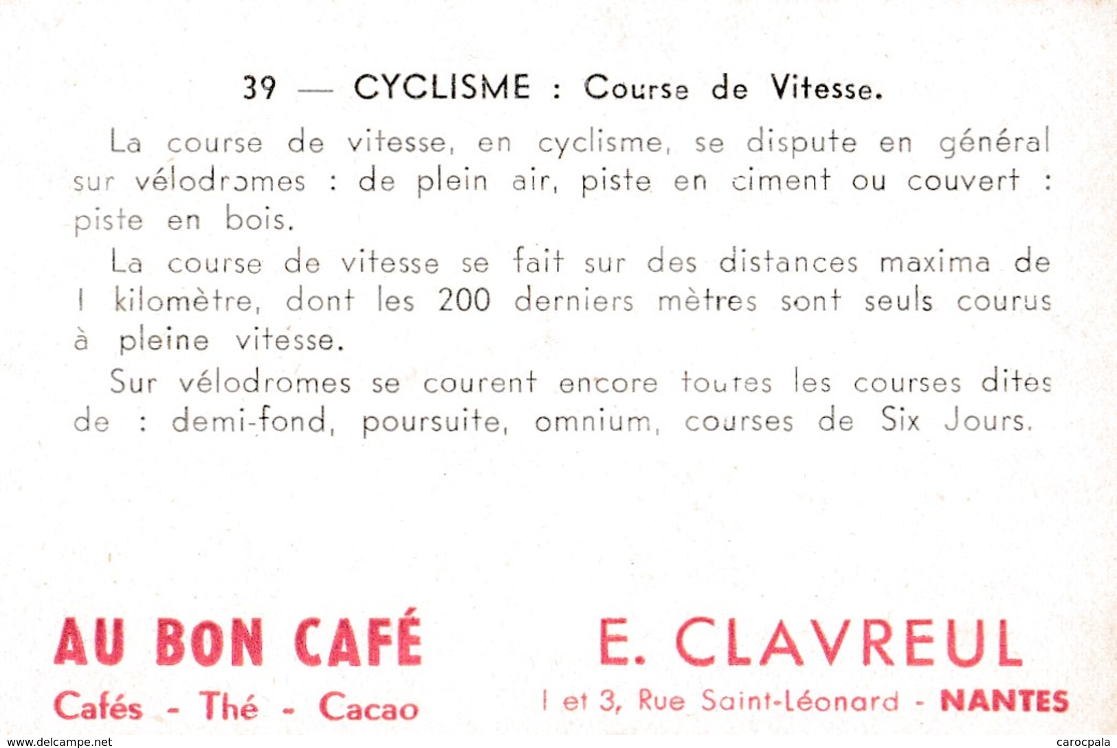 Vers 1950 LES SPORTS / CYCLISME / COURSE SUR PISTE ET COURSE DE STAYERS - Cyclisme