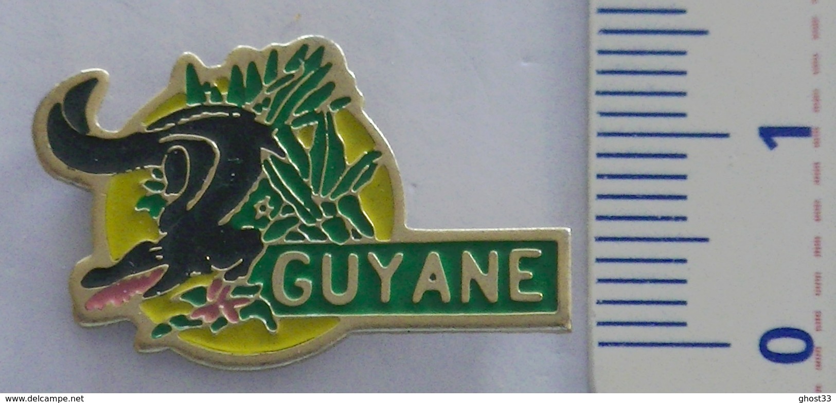 PIN'S - CAÏMAN - GUYANE FRANÇAISE - Tiere