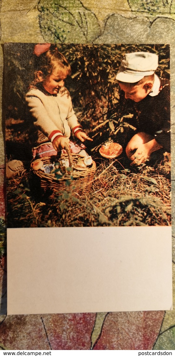 CHILDREN - Mushroomers -  Champignon - OLD Postcard - MUSHROOM 1969 - Champignons