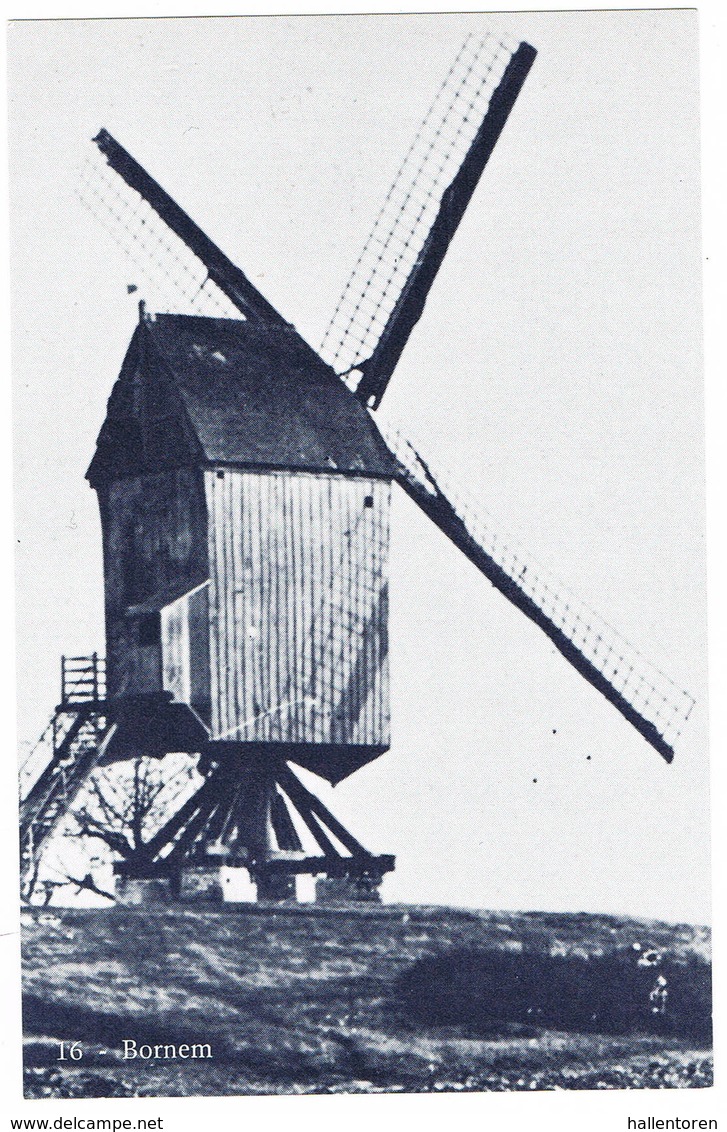 Bornem: Molen ( 2 Scans) - Bornem