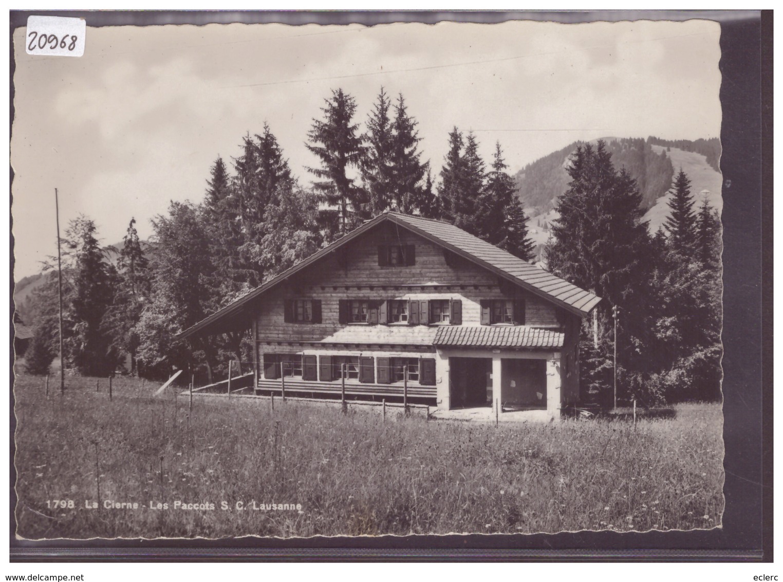 FORMAT 10x15cm - LES PACCOTS - CHALET " LA CIERNE " - TB - Other & Unclassified