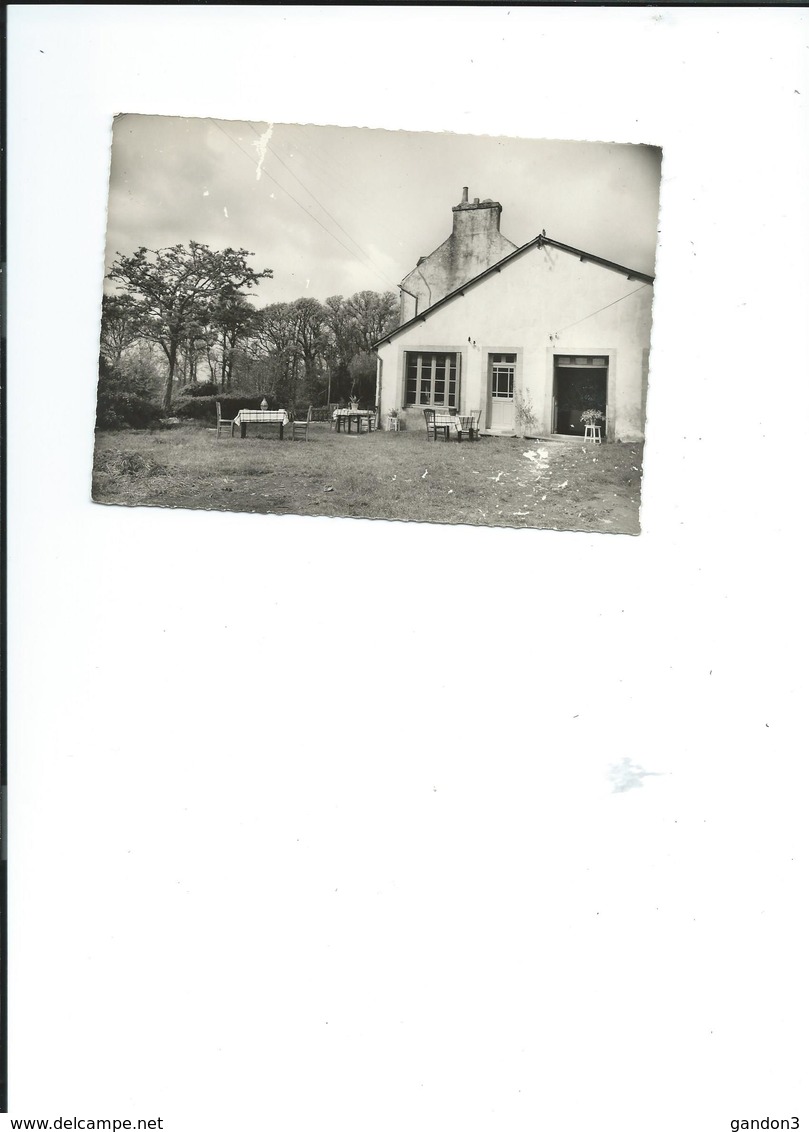 Carte  De   LANDEVENNEC  :   " Chez  Marianne"  -  La Terrasse Donnant Sur La Mer - Landévennec