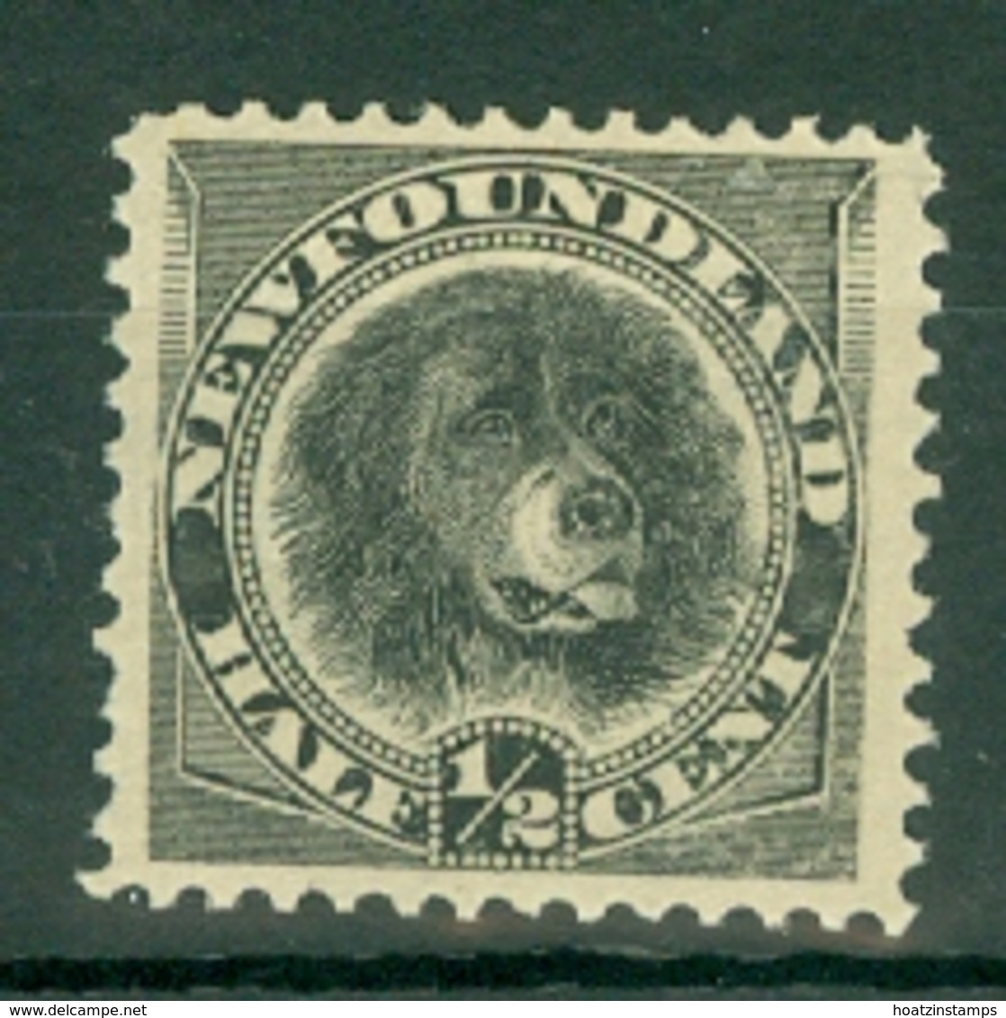 Newfoundland: 1894   Dog    SG59   ½c   Black    MH - 1865-1902