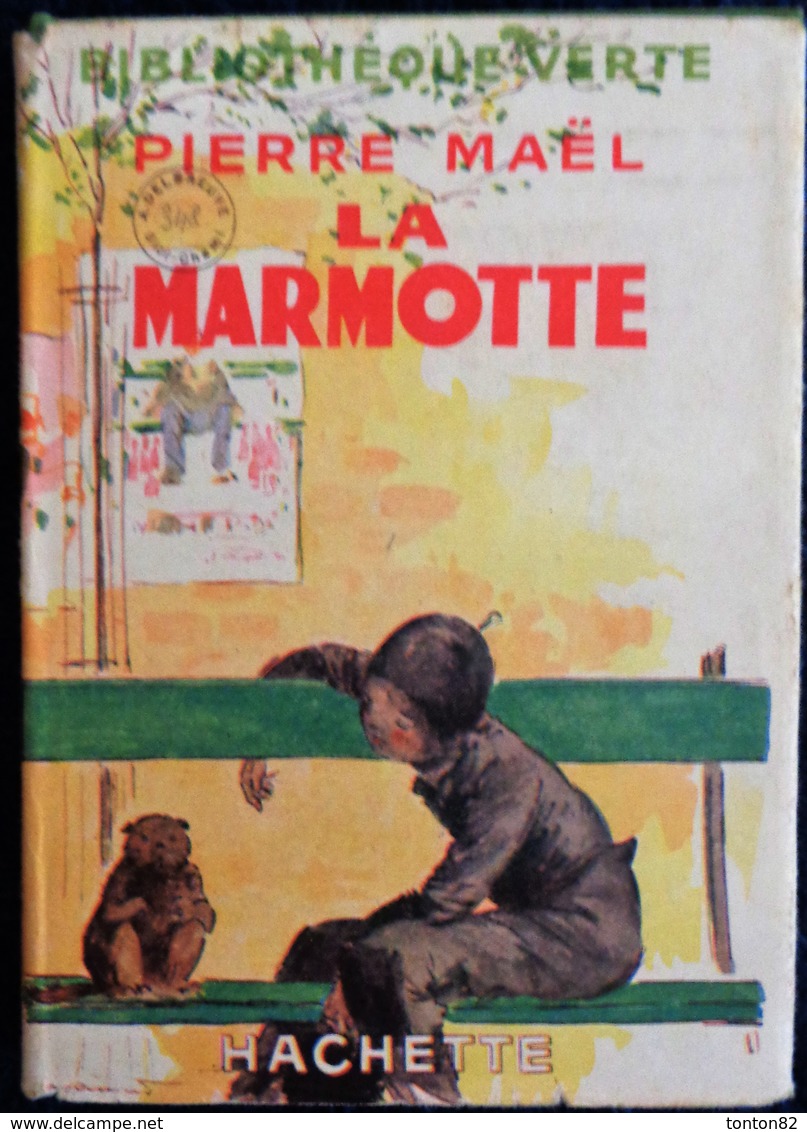 Pierre Maël - La Marmotte - Bibliothèque Verte  - ( 1938 ) - Bibliothèque Verte