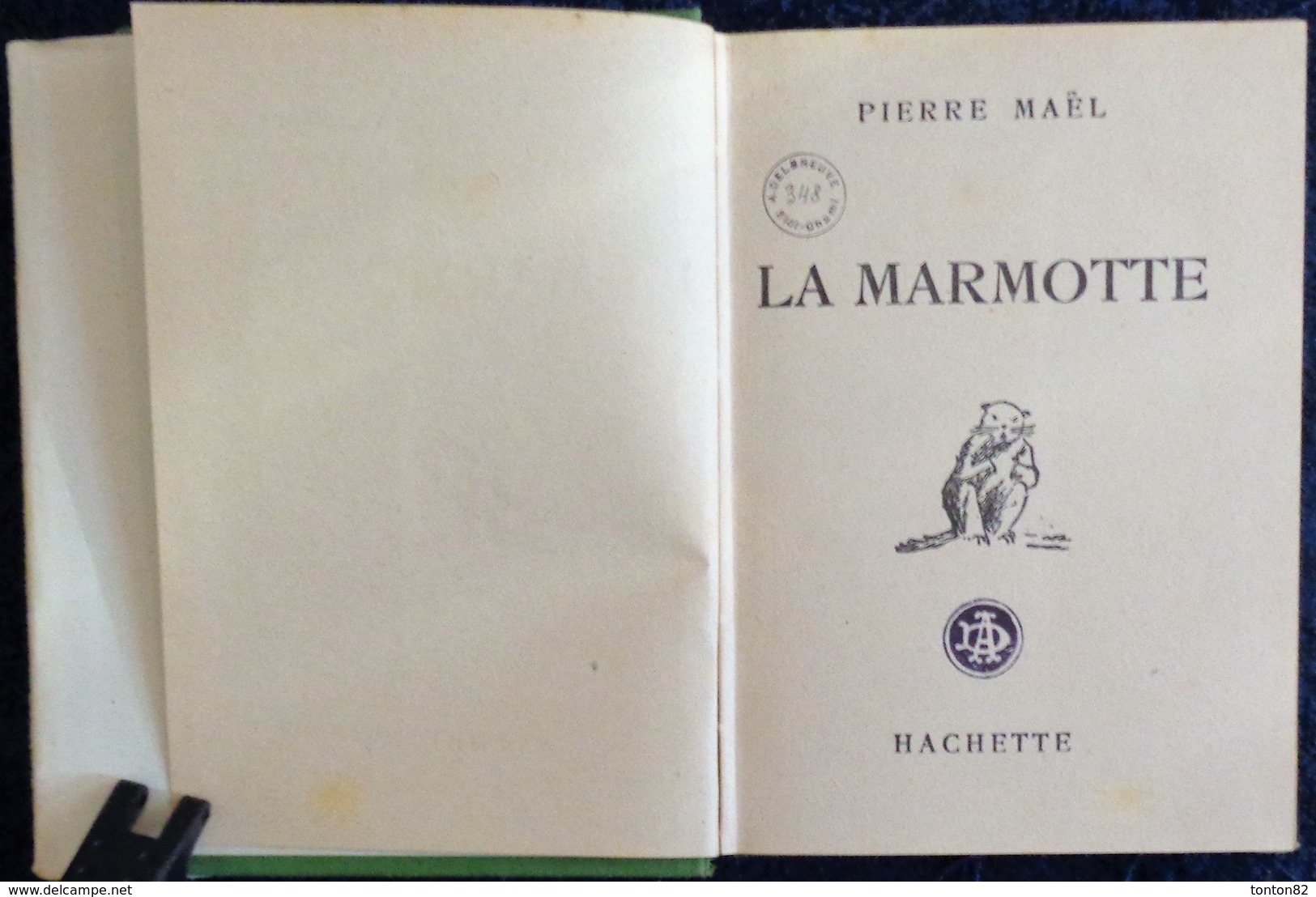 Pierre Maël - La Marmotte - Bibliothèque Verte  - ( 1938 ) - Bibliothèque Verte