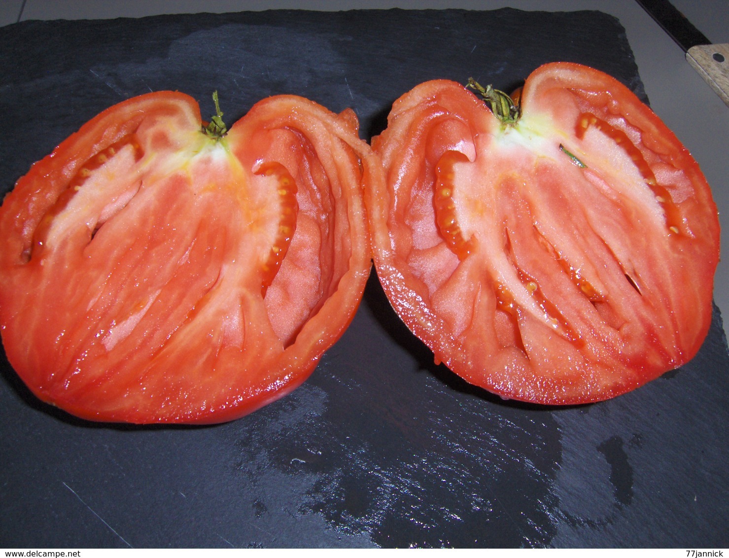 30 Graines Tomates COEUR DE BOEUF BIO - Autres & Non Classés