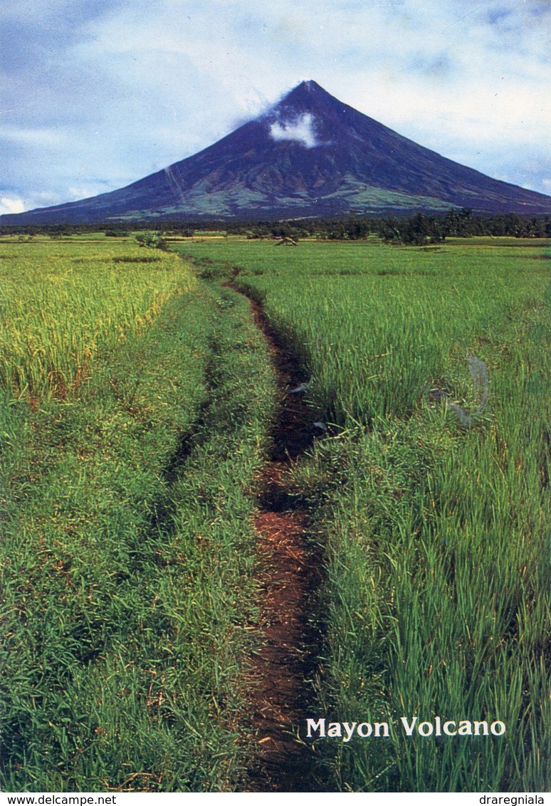 The Majestic Mayon Volcano With Ricefields In The Foreground. Albay Philippines . Volcan - Philippines