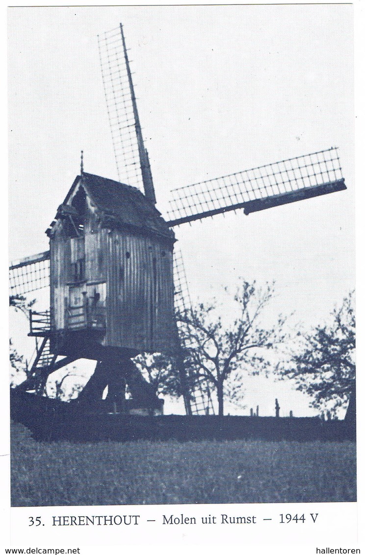 Herenthout: Molen Uit Rumst (2 Scans) - Andere & Zonder Classificatie